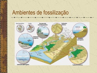 Ambientes de fossilização 