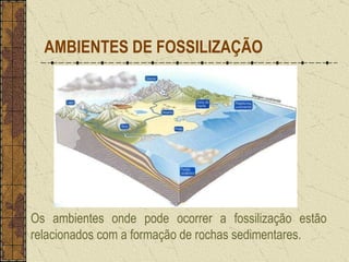 AMBIENTES DE FOSSILIZAÇÃO Os ambientes onde pode ocorrer a fossilização estão relacionados com a formação de rochas sedimentares. 