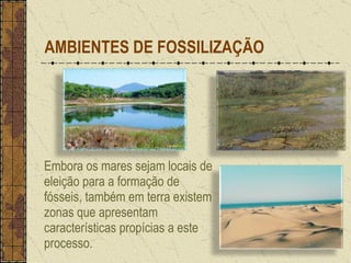 Embora os mares sejam locais de eleição para a formação de fósseis, também em terra existem zonas que apresentam características propícias a este processo. AMBIENTES DE FOSSILIZAÇÃO 