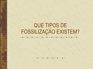 QUE TIPOS DE FOSSILIZAÇÃO EXISTEM? 