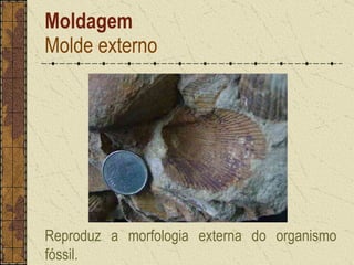 Moldagem Molde externo Reproduz a morfologia externa do organismo fóssil.  