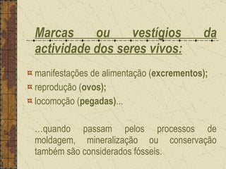 Marcas ou vestígios da actividade dos seres vivos: manifestações de alimentação ( excrementos); reprodução ( ovos); locomoção ( pegadas) ... … quando passam pelos processos de moldagem, mineralização ou conservação também são considerados fósseis. 