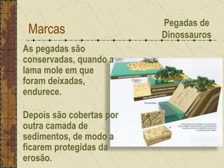 As pegadas são conservadas, quando a lama mole em que foram deixadas, endurece. Depois são cobertas por outra camada de sedimentos, de modo a ficarem protegidas da erosão. Marcas Pegadas de Dinossauros 