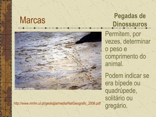 Marcas Pegadas de Dinossauros http://www.mnhn.ul.pt/geologia/media/NatGeografic_2006.pdf Permitem, por vezes, determinar o peso e comprimento do animal.  Podem indicar se era bípede ou quadrúpede, solitário ou gregário. 