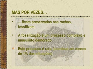 MAS POR VEZES… ... ficam preservados nas rochas, fossilizam. A fossilização é um processo complexo e muuuiiiito demorado. Este processo é raro (acontece em menos de 1% das situações) 
