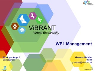 WP1 Management Gemma Maldar NHM [email_address] Work package 1 Management ViBRANT Virtual Biodiversity 