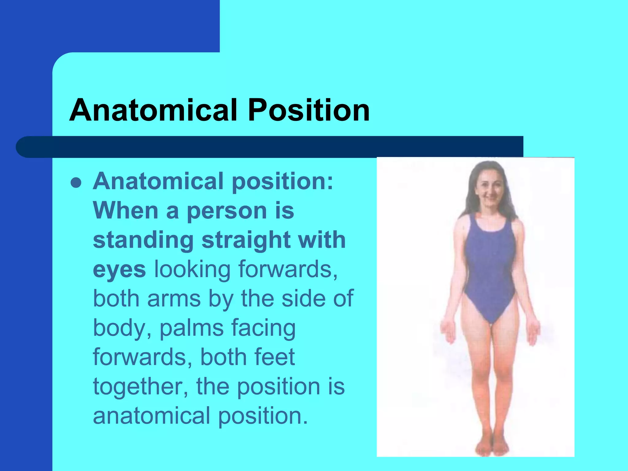 01_General Anatomy.ppt