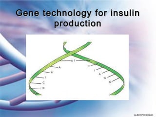 Gene technology for insulin
        production




                         ALBIO9700/2006JK
 