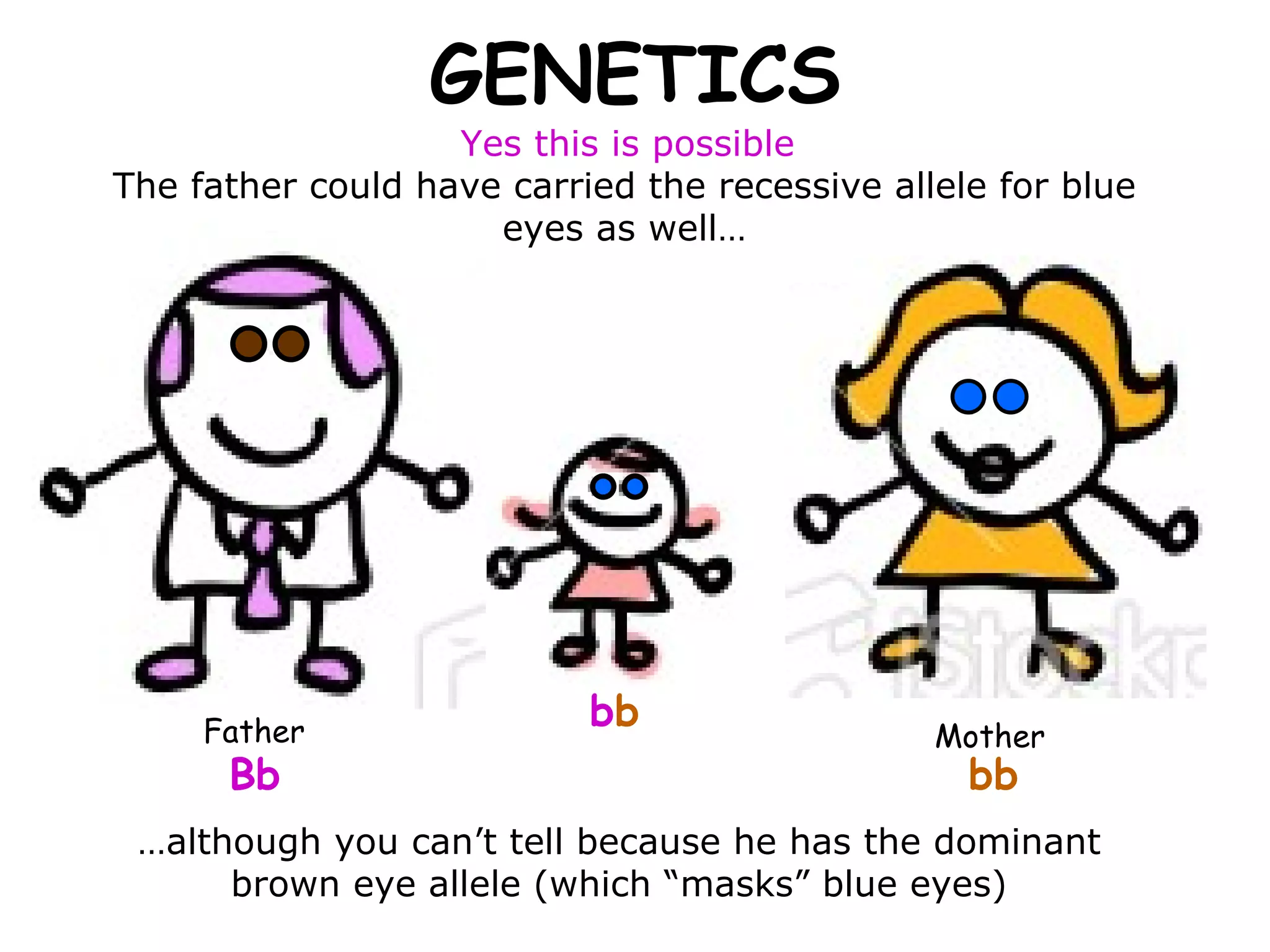 GENETICS Yes this is possible  Bb bb The father could have carried the recessive allele for blue eyes as well… … although you can’t tell because he has the dominant brown eye allele (which “masks” blue eyes) b b Father Mother 