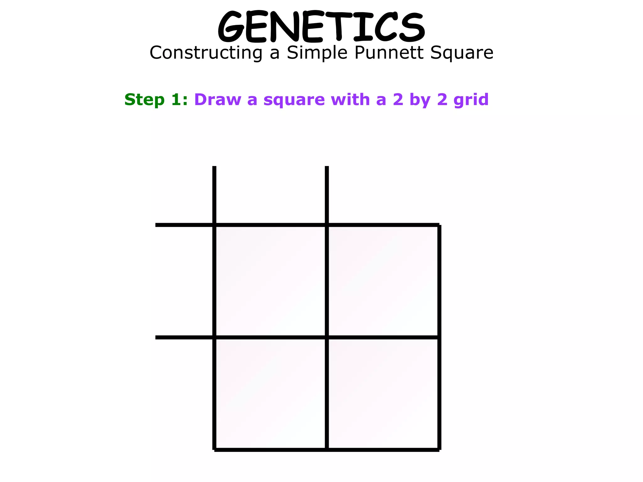 GENETICS Constructing a Simple Punnett Square Step 1:  Draw a square with a 2 by 2 grid 