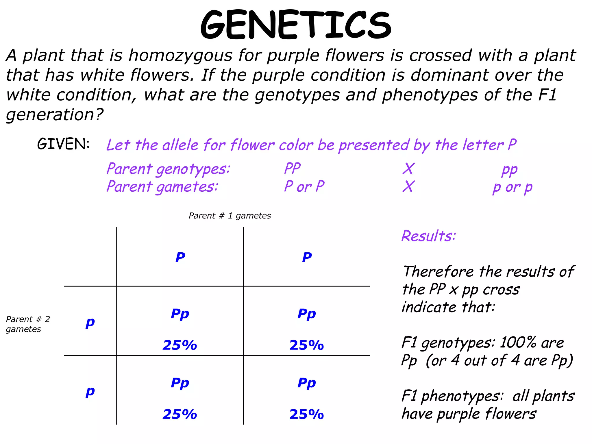 GENETICS A plant that is homozygous for purple flowers is crossed with a plant that has white flowers. If the purple condition is dominant over the white condition, what are the genotypes and phenotypes of the F1 generation? GIVEN:  Let the allele for flower color be presented by the letter P Parent genotypes:  PP X   pp Parent gametes:   P or P X   p or p Parent # 2 gametes Parent # 1 gametes Results: Therefore the results of the PP x pp cross indicate that: F1 genotypes: 100% are Pp  (or 4 out of 4 are Pp) F1 phenotypes:  all plants have purple flowers Pp 25% Pp 25% p Pp 25% Pp 25% p P P 
