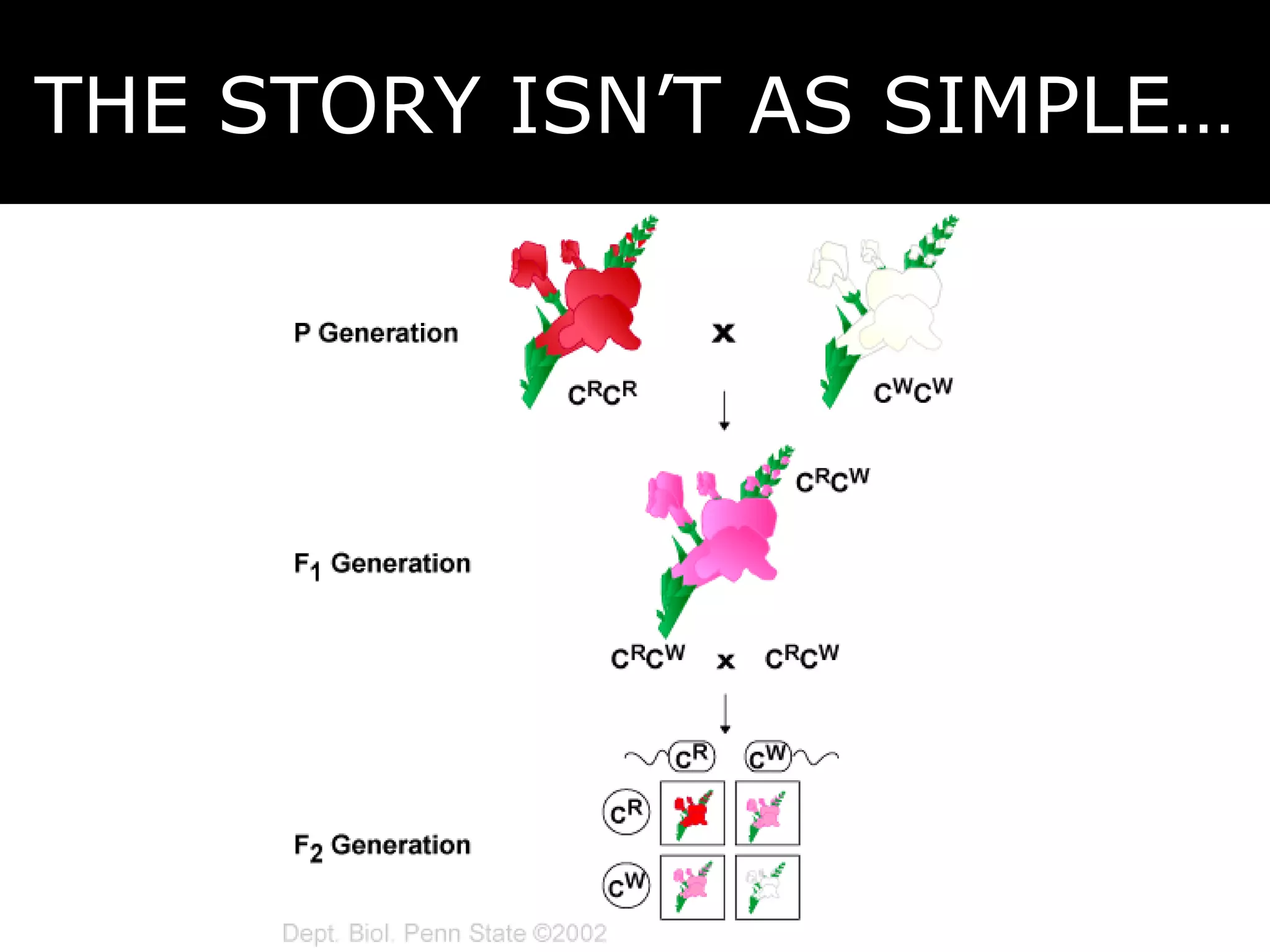 THE STORY ISN’T AS SIMPLE… 