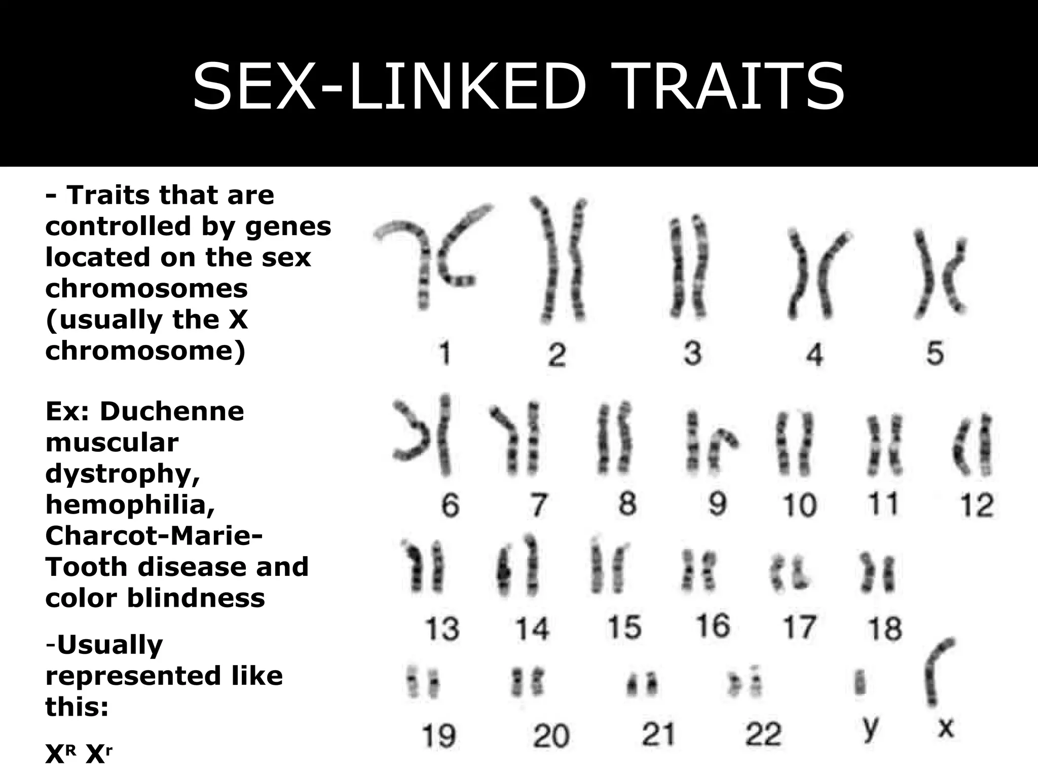 SEX-LINKED TRAITS - Traits that are controlled by genes located on the sex chromosomes (usually the X chromosome) Usually represented like this: X R  X r Ex: Duchenne muscular dystrophy, hemophilia, Charcot-Marie-Tooth disease and color blindness  