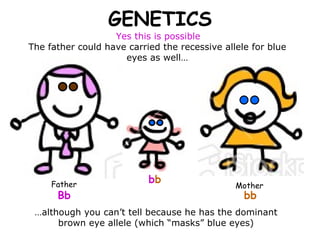 GENETICS Yes this is possible  Bb bb The father could have carried the recessive allele for blue eyes as well… … although you can’t tell because he has the dominant brown eye allele (which “masks” blue eyes) b b Father Mother 