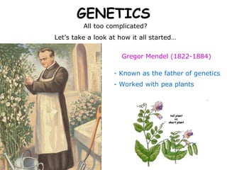 GENETICS All too complicated? Let’s take a look at how it all started… Gregor Mendel (1822-1884) - Known as the father of genetics - Worked with pea plants 