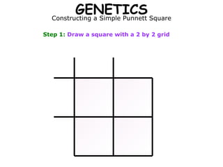 GENETICS Constructing a Simple Punnett Square Step 1:  Draw a square with a 2 by 2 grid 