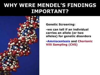 WHY WERE MENDEL’S FINDINGS IMPORTANT? Genetic Screening: -we can tell if an individual carries an allele (or two alleles) for genetic disorders - Amniocentesis  and  Chorionic Villi Sampling (CVS) 