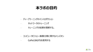 本ラボの目的
— ディープラーニングのイントロダクション
— ネットワークのトレーニング
— トレーニングの結果を理解する。
— コンピュータビジョン・画像分類に関するハンズオン
— CaffeとDIGITSを使用する
4/18/2017
 