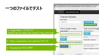 一つのファイルでテスト
1. Image Pathに、以下を入力
/home/ubuntu/data/test_small/2/img_4415.png
2. “Show visualization and statistics”をチェック2. “Show visualization and statistics”をチェック
3. “Classify One”ボタンを押す
 