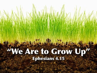 “We Are to Grow Up”
     Ephesians 4.15
 