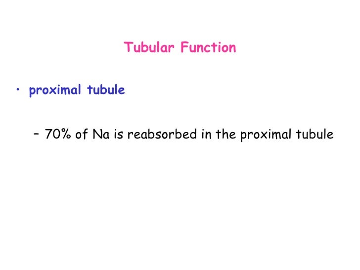 01 Graciano Acute Renal Failure In The Intensive Care Unit