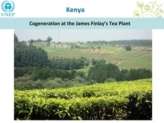 Kenya
Cogeneration at the James Finlay’s Tea Plant