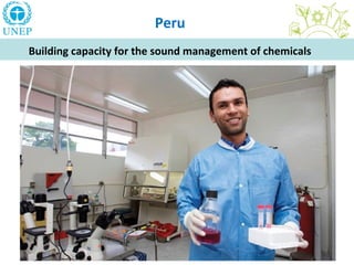 Peru
Building capacity for the sound management of chemicals