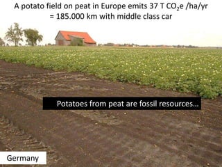 A potato field on peat in Europe emits 37 T CO2e /ha/yr
= 185.000 km with middle class car
Germany
Potatoes from peat are ...