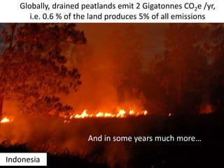 Globally, drained peatlands emit 2 Gigatonnes CO2e /yr,
i.e. 0.6 % of the land produces 5% of all emissions
Indonesia
And ...