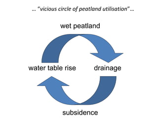 drainagewater table rise
wet peatland
subsidence
… “vicious circle of peatland utilisation”…
 