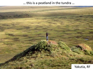… this is a peatland in the tundra …
Yakutia, RF
 