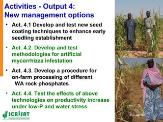 Tackling abiotic production constraints in pearl millet and sorghum-based agricultural systems of the West African Sahel 