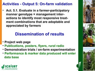 Tackling abiotic production constraints in pearl millet and sorghum-based agricultural systems of the West African Sahel 
