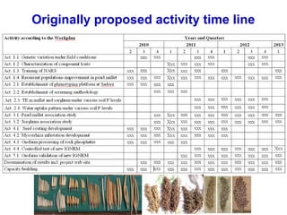 Tackling abiotic production constraints in pearl millet and sorghum-based agricultural systems of the West African Sahel 