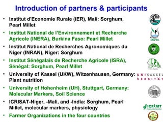 Tackling abiotic production constraints in pearl millet and sorghum-based agricultural systems of the West African Sahel 