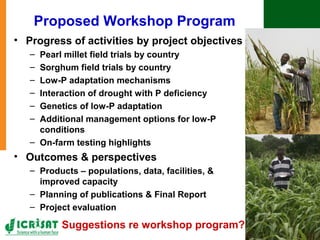 Tackling abiotic production constraints in pearl millet and sorghum-based agricultural systems of the West African Sahel 