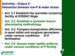 Tackling abiotic production constraints in pearl millet and sorghum-based agricultural systems of the West African Sahel 