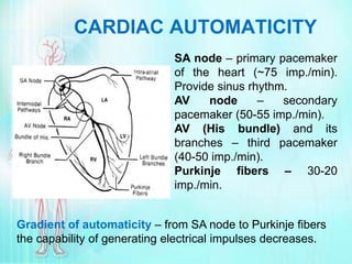 01 Heart.ppt