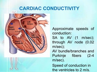 01 Heart.ppt