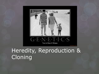 Heredity, Reproduction &
Cloning

 