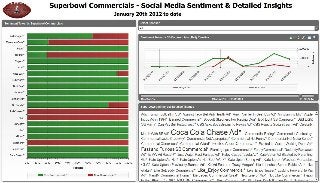 01 high level sentiment and detailed themes pdf