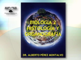 BIOLOGÍA 2
  HISTOLOGÍA Y
 ORGANOGRAFÍA



DR. ALBERTO PÉREZ MONTALVO
 