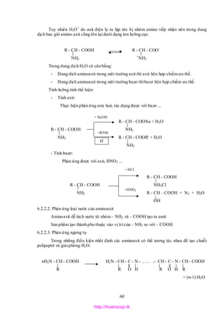 60
Tuy nhiên H3O+
do axit điện ly ra lập tức bị nhóm amino tiếp nhận nên trong dung
dịch bao giờ amino axit cũng tồn tại dưới dạng ion lưỡng cực.
R - CH - COOH R - CH - COO-
NH2
+
NH3
Trong dung dich H2O có cân bằng:
- Dung dich aminoaxit trong môi trường axit thì axit liên hợp chiếm ưu thế.
- Dung dich aminoaxit trong môi trường bazơ thì bazơ liên hợp chiếm ưu thế.
Tính lưỡng tính thể hiện:
- Tính axit:
Thực hiện phản ứng este hoá, tác dụng được với bazơ ...
R - CH - COONa + H2O
R - CH - COOH NH2
NH2 R - CH - COOR' + H2O
NH2
- Tính bazơ:
Phản ứng được với axit, HNO2 ...
R - CH - COOH
R - CH - COOH NH3Cl
NH2 R - CH – COOH + N2 + H2O
OH
6.2.2.2. Phản ứng loại nước của aminoaxit
Aminoaxit dễ tách nước từ nhóm – NH2 và – COOH tạo ra amit
Sản phẩm tạo thành phu thuộc vào vị trí của – NH2 so với – COOH
6.2.2.3. Phản ứng ngưng tụ
Trong những điều kiện nhất định các aminoaxit có thể tương tác nhau để tạo chuỗi
polipeptit và giải phóng H2O.
nH2N - CH - COOH H2N - CH - C - N - …… .- CH - C - N - CH - COOH
R R O H R O H R
+ (n-1) H2O
+ NaOH
+R'OH
+HNO2
+ HCl
H+
http://hoahocsp.tk
 