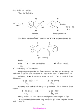 61
6.2.2.4. Phản ứng định tính
Thuốc thử: Nin hydrin
Hợp chất nầy phản ứng tiếp với Ninhydrincó mặt NH3 cho sản phẩm màu xanh tím
(màu xanh tím)
Tóm lại:
R - CH - COOH + thuốc thử Ninhydrin hợp chất màu xanh tím
NH2
6.2.2.5. Điểm đẳng điện của axit amin
Trong dung dịch aminoaxit luôn tồn tại dưới dạng ion lưỡng cực. Tuỳ vào pH của
môi trường mà ta có thể điều chỉnh aminoaxit trung hoà điện, mang điện tích dương hay âm.
Môi trường axit: ion H+
kìm hãm sự điện ly của nhóm - COOH và aminoaxit sẽ tích
điện dương.
R - CH - COO-
+ H+
R - CH - COOH
+
NH3
+
NH3
Môi trường bazơ: ion OH-
kìm hãm sự điện ly của nhóm - NH2 và aminoaxit sẽ tích
điện âm.
R - CH - COO-
+ OH-
R - CH - COO-
+
NH3 NH2. H2O
Như vậy ta có thể điều chỉnh pH của môi trường để axit amin trung hoà về điện.
Giá trị pH tại thời điểm axit amin trung hoà về điện gọi là điểm đẳng điện của axit
amin.ký hiệu: pI.
dixetooxyhydrin đen
CH2- CH- COOH
NH2
+ RCHO+ CO2
+ NH3
+
OHC
C
C
OH
O
O
ninhydrin
C
C
CH-OH
O
O
O
C – N =
OO
O
C
C
C
C
C
http://hoahocsp.tk
 