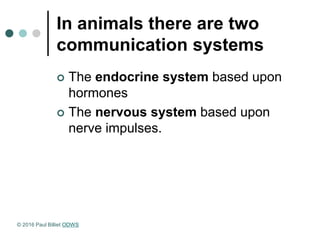 In animals there are two
communication systems
 The endocrine system based upon
hormones
 The nervous system based upon
nerve impulses.
© 2016 Paul Billiet ODWS
 