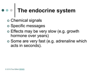 The endocrine system
 Chemical signals
 Specific messages
 Effects may be very slow (e.g. growth
hormone over years)
 Some are very fast (e.g. adrenaline which
acts in seconds).
© 2016 Paul Billiet ODWS
 