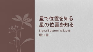 SignalBottom WS2016
堀江誠一
星で位置を知る
星の位置を知る
 