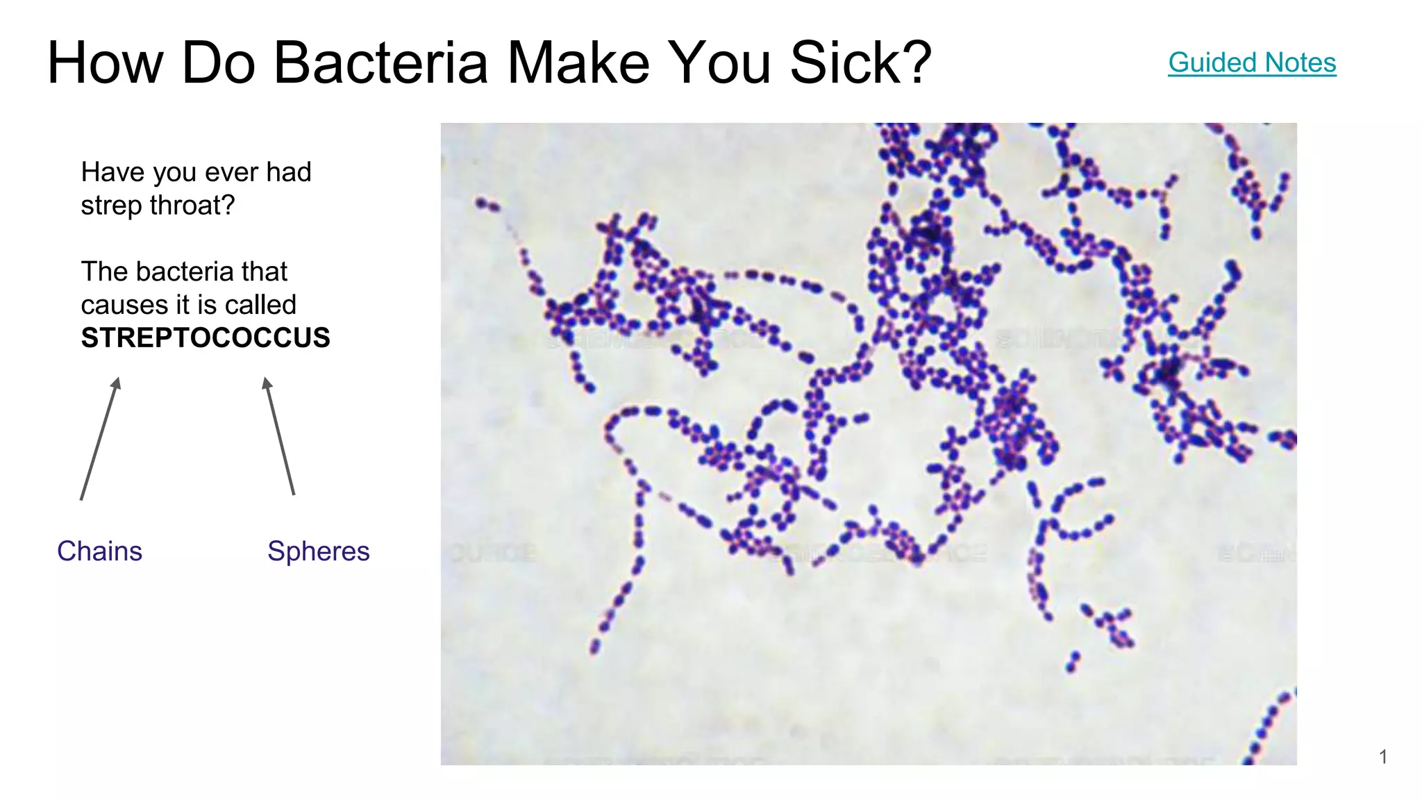 01 How Do Bacteria Make You Sick.pptx