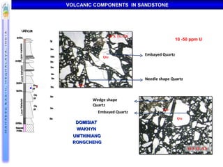 01 iaea hamilton | PPT