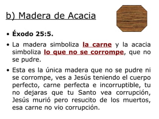 b) Madera de Acacia Éxodo 25:5. La madera simboliza  la carne  y la acacia simboliza  lo que no se corrompe , que no se pudre. Esta es la única madera que no se pudre ni se corrompe, ves a Jesús teniendo el cuerpo perfecto, carne perfecta e incorruptible, tu no dejaras que tu Santo vea corrupción, Jesús murió pero resucito de los muertos, esa carne no vio corrupción. 